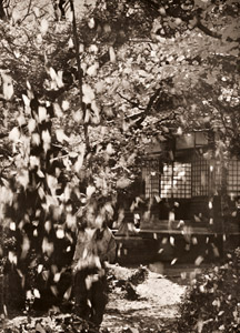 嵯峨野の秋 [中藤敦, カメラ毎日 1956年11月号より]のサムネイル画像