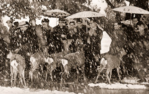 Snowy Day Tourists [Chojiro Matsuishi,  from Nippon Camera February 1955] Thumbnail Images