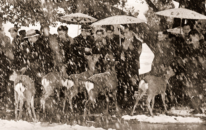 雪の日の観光客 [松石長二郎, 日本カメラ 1955年2月号より] パブリックドメイン画像 