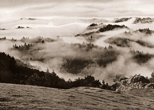 コースト・ランジ丘の雨 [アンセル・アダムス, 日本カメラ 1955年2月号より]のサムネイル画像