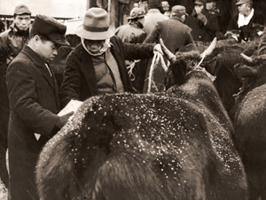 雪の日の牛市 [中島一雄, 日本カメラ 1956年4月号より]のサムネイル画像