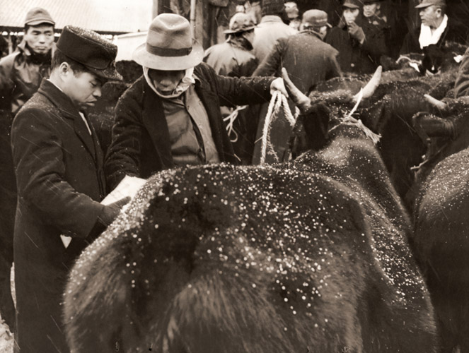 雪の日の牛市 [中島一雄, 日本カメラ 1956年4月号より] パブリックドメイン画像 