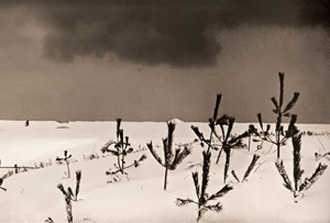 冬の日本海岸 [青木藤吉郎, 日本カメラ 1956年4月号より]のサムネイル画像