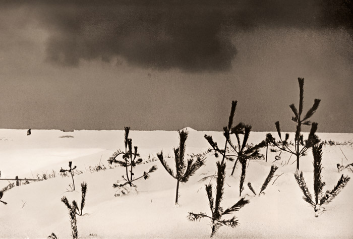 冬の日本海岸 [青木藤吉郎, 日本カメラ 1956年4月号より] パブリックドメイン画像 