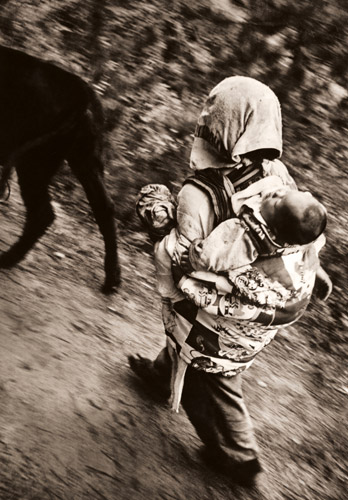 牛を追う女 [宮本松司, 日本カメラ 1955年3月号より] パブリックドメイン画像 