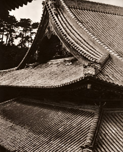 Roof [Hiroshi Yoshimoto,  from Nippon Camera March 1955] Thumbnail Images