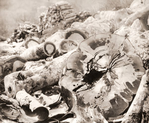 集木場 [棚井せい子, カメラ毎日 1954年9月号より]のサムネイル画像
