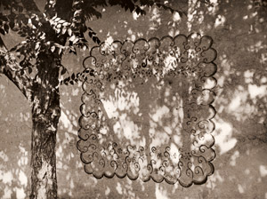 壁 [エルンスト・ハアス, カメラ毎日 1954年9月号より]のサムネイル画像