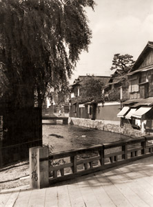 柳と橋（祇園にて） [森田元子, カメラ毎日 1954年9月号より]のサムネイル画像