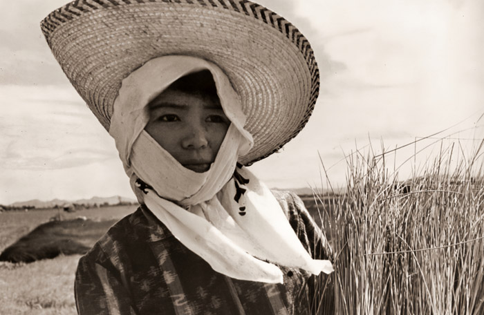 イ草刈りの娘 [木下欽一, 日本カメラ 1955年11月号より] パブリックドメイン画像 