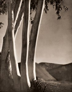 風景  [ジョージ・H・フィリップス, アサヒカメラ 1936年2月号より]のサムネイル画像
