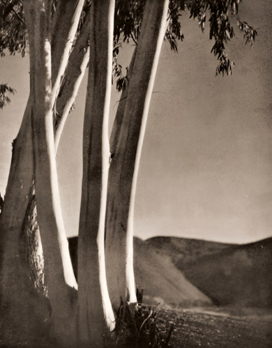 風景  [ジョージ・H・フィリップス, アサヒカメラ 1936年2月号より] パブリックドメイン画像 