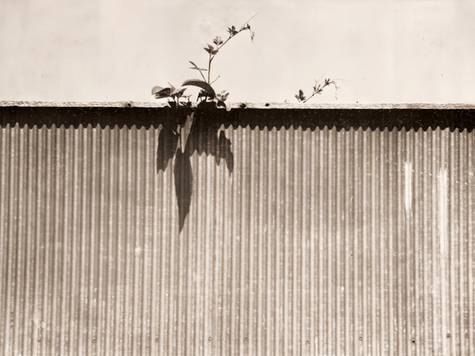 トタンの塀 [福原路草, アサヒカメラ 1937年4月号より] パブリックドメイン画像 