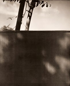 トタンの塀 [福原路草, アサヒカメラ 1937年4月号より]のサムネイル画像