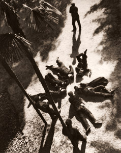 小春日 [森山繁, アサヒカメラ 1937年4月号より]のサムネイル画像