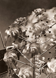 風車 [真期金次, アサヒカメラ 1937年4月号より]のサムネイル画像