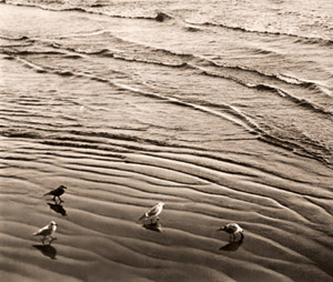 春の水 [下島勝信, アサヒカメラ 1937年4月号より]のサムネイル画像
