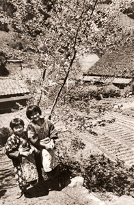 山桜 [木村伊兵衛, アサヒカメラ 1937年4月号より]のサムネイル画像