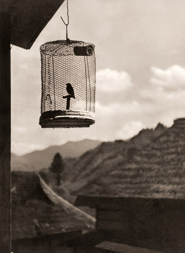 郊外の春 [金原三省, アサヒカメラ 1937年4月号より] パブリックドメイン画像 