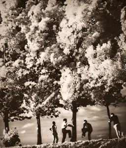 緑の魅惑 [松本勝, アサヒカメラ 1939年9月号より]のサムネイル画像