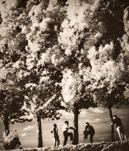 緑の魅惑 [松本勝, アサヒカメラ 1939年9月号より] パブリックドメイン画像 