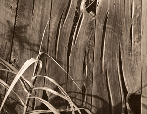 板塀 [成田春陽, アサヒカメラ 1939年9月号より]のサムネイル画像