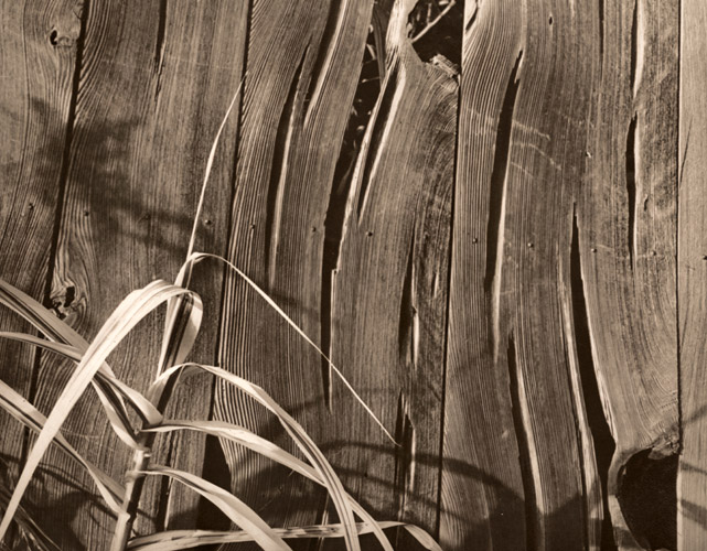 板塀 [成田春陽, アサヒカメラ 1939年9月号より] パブリックドメイン画像 