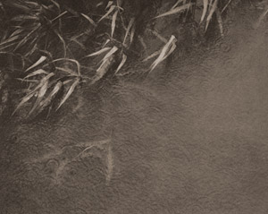 梅雨の頃 [原鐵也, アサヒカメラ 1939年9月号より]のサムネイル画像