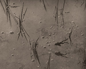 梅雨の頃 [片岡朔太郞, アサヒカメラ 1939年9月号より]のサムネイル画像