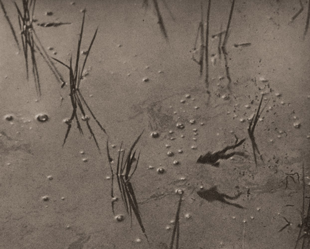 梅雨の頃 [片岡朔太郞, アサヒカメラ 1939年9月号より] パブリックドメイン画像 