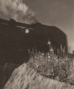 花と機関車 [明楽光三郞, アサヒカメラ 1939年9月号より]のサムネイル画像