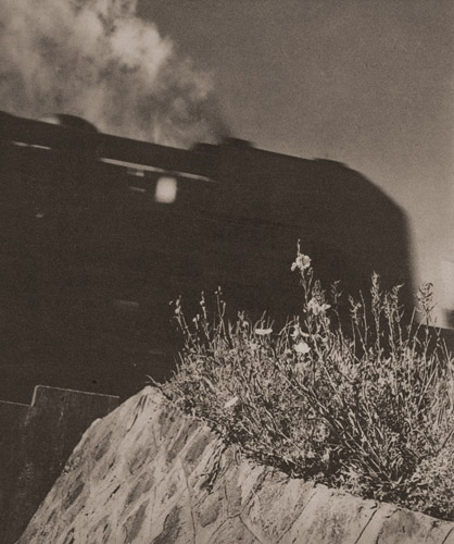 花と機関車 [明楽光三郞, アサヒカメラ 1939年9月号より] パブリックドメイン画像 