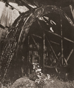 秋のひびき [大野輝男, アサヒカメラ 1939年9月号より]のサムネイル画像