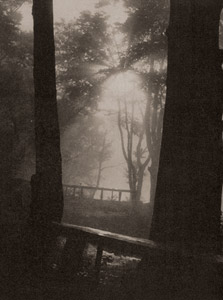 霧の朝 [南里吉男, アサヒカメラ 1939年9月号より]のサムネイル画像