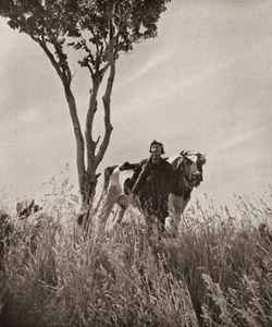 銃後の女性 [藤田安治, アサヒカメラ 1939年9月号より]のサムネイル画像