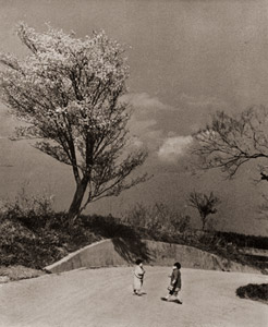 春の日 [植田壽三, アサヒカメラ 1936年6月号より]のサムネイル画像