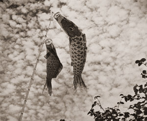 鯉幟 [久野三雄, アサヒカメラ 1936年6月号より]のサムネイル画像