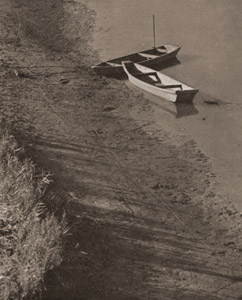水郷 [吉野銈一郎, アサヒカメラ 1936年6月号より]のサムネイル画像