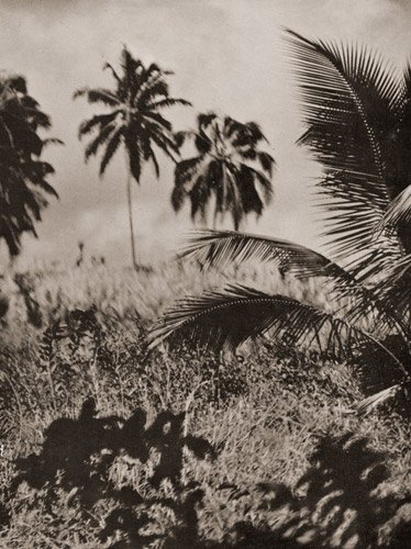 ハワイ風景 [福原信三, アサヒカメラ 1936年6月号より] パブリックドメイン画像 