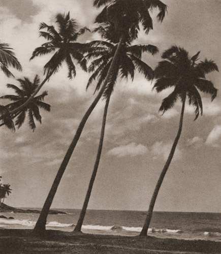 無題（セイロン島の風景） [フリッツ・ヘンレ, アサヒカメラ 1936年6月号より] パブリックドメイン画像 