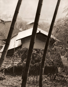 早春の奧多摩 [澤数七, アサヒカメラ 1938年5月号より]のサムネイル画像
