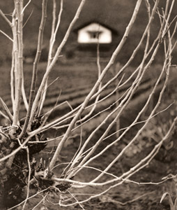 早春の奧多摩 [筑紫敏男, アサヒカメラ 1938年5月号より]のサムネイル画像