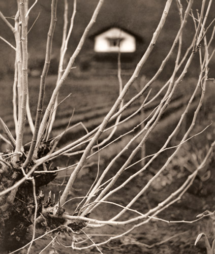 早春の奧多摩 [筑紫敏男, アサヒカメラ 1938年5月号より] パブリックドメイン画像 