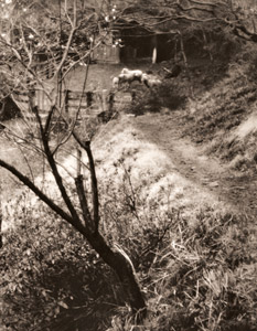 早春の奧多摩 [矢野目源一, アサヒカメラ 1938年5月号より]のサムネイル画像