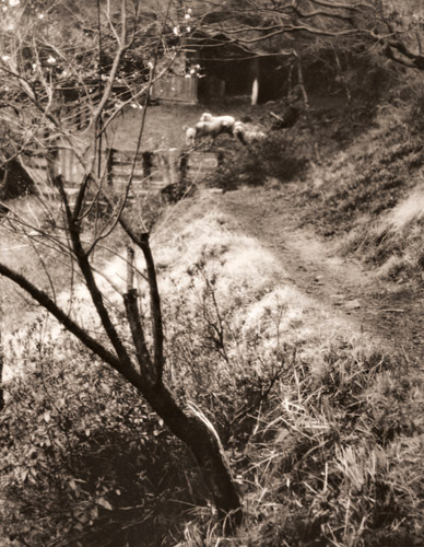 早春の奧多摩 [矢野目源一, アサヒカメラ 1938年5月号より] パブリックドメイン画像 