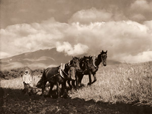 耕地の晝下り [下島勝信, アサヒカメラ 1938年5月号より]のサムネイル画像