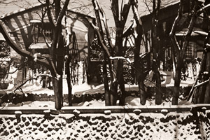 雪晴れの朝 [高屋健一郞, 1956年, アサヒカメラ 1956年5月号より]のサムネイル画像