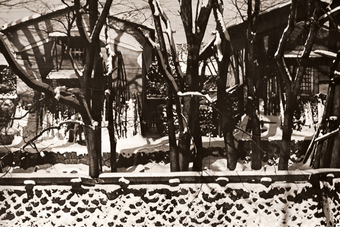 雪晴れの朝 [高屋健一郞, 1956年, アサヒカメラ 1956年5月号より] パブリックドメイン画像 
