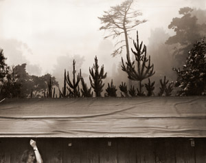 午前7時 [エドワード・ウェストン, 1945年, アサヒカメラ 1956年5月号より]のサムネイル画像