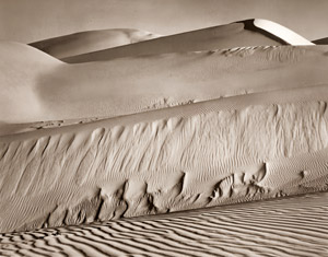 オセアーノの砂丘 [エドワード・ウェストン, 1936年, アサヒカメラ 1956年5月号より]のサムネイル画像